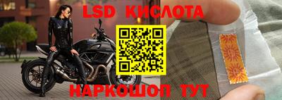прущие грибы Сланцы