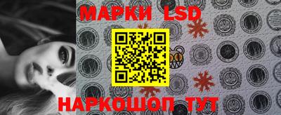 прущие грибы Сланцы
