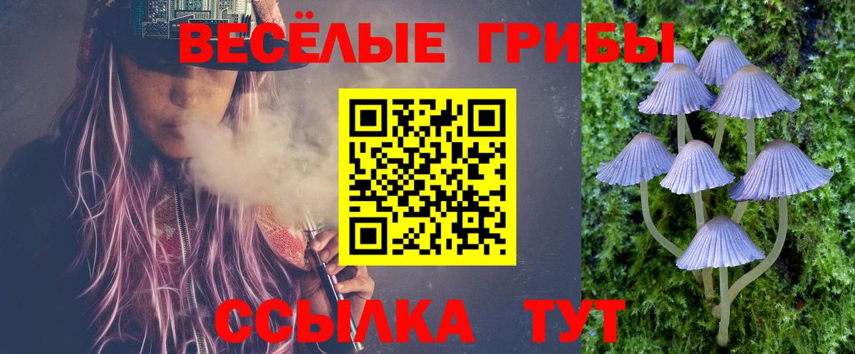 Галлюциногенные грибы Cubensis Саров
